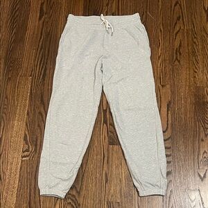 Gray Aerie Sweatpants